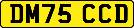 DM75CCD