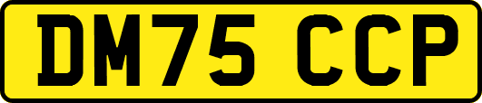 DM75CCP