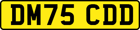 DM75CDD