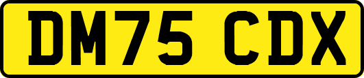 DM75CDX