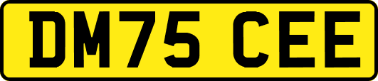DM75CEE