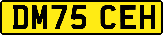 DM75CEH