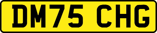 DM75CHG