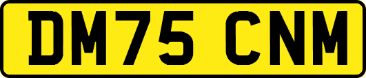 DM75CNM