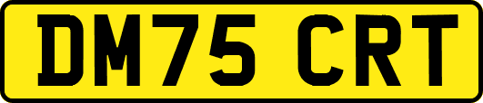 DM75CRT