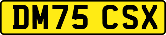 DM75CSX