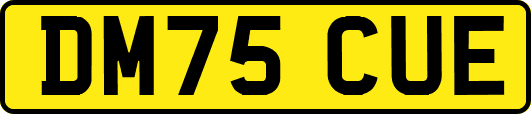 DM75CUE