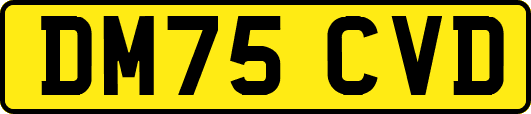 DM75CVD
