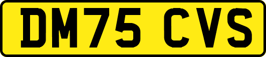 DM75CVS