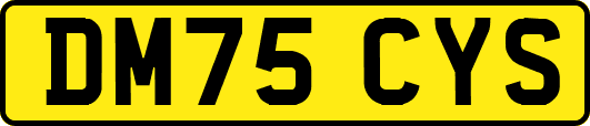 DM75CYS