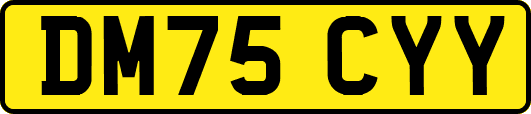 DM75CYY