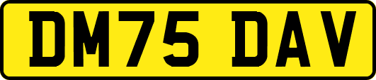 DM75DAV