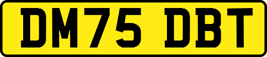 DM75DBT