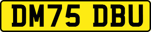 DM75DBU