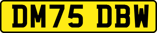DM75DBW