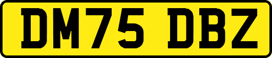 DM75DBZ