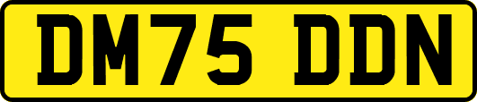 DM75DDN
