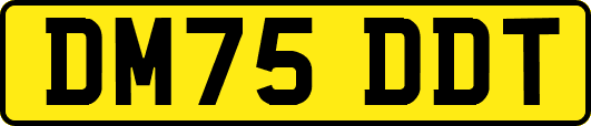 DM75DDT