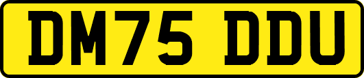 DM75DDU