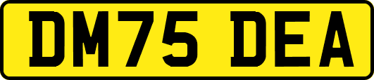 DM75DEA