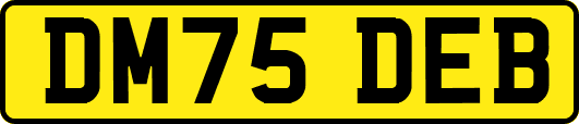 DM75DEB