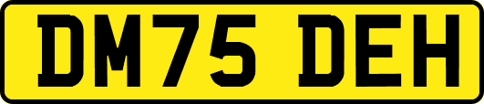 DM75DEH