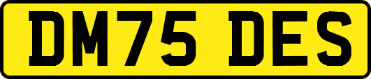 DM75DES