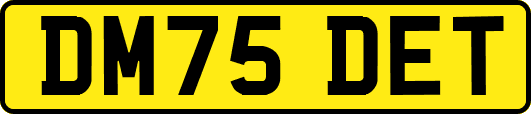 DM75DET