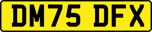 DM75DFX