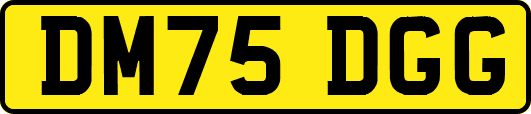 DM75DGG