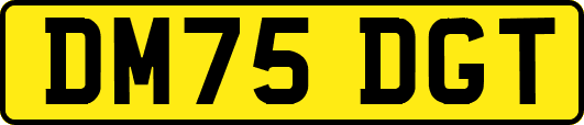 DM75DGT