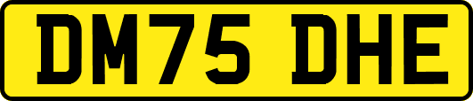 DM75DHE