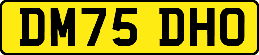 DM75DHO