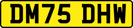 DM75DHW