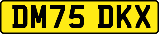 DM75DKX