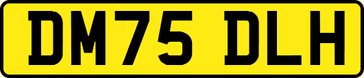 DM75DLH