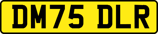 DM75DLR