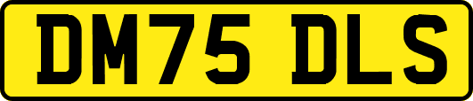 DM75DLS