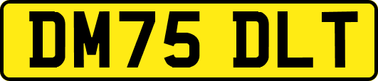 DM75DLT