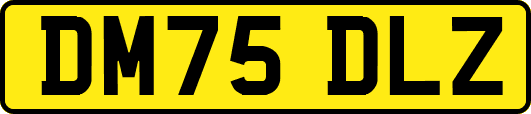 DM75DLZ