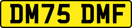 DM75DMF