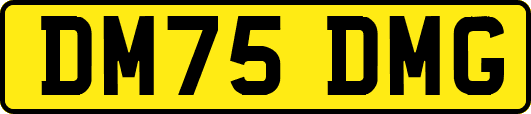 DM75DMG