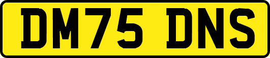 DM75DNS