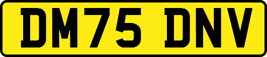 DM75DNV