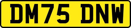 DM75DNW