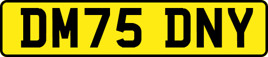 DM75DNY