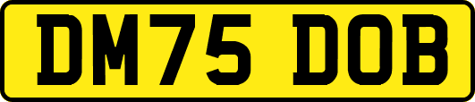 DM75DOB