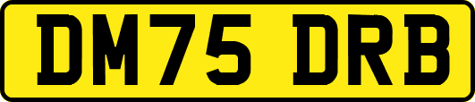 DM75DRB