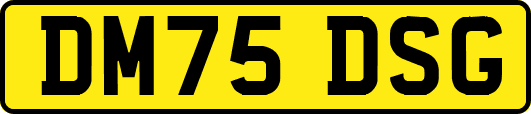 DM75DSG