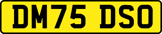 DM75DSO